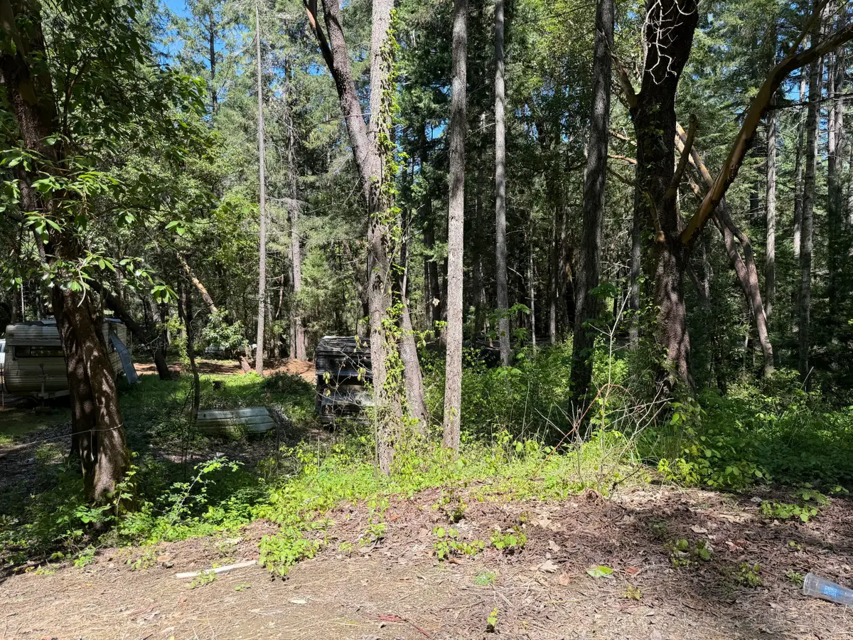 Sunny Valley Loop, Wolf Creek, OR 97497 - #1