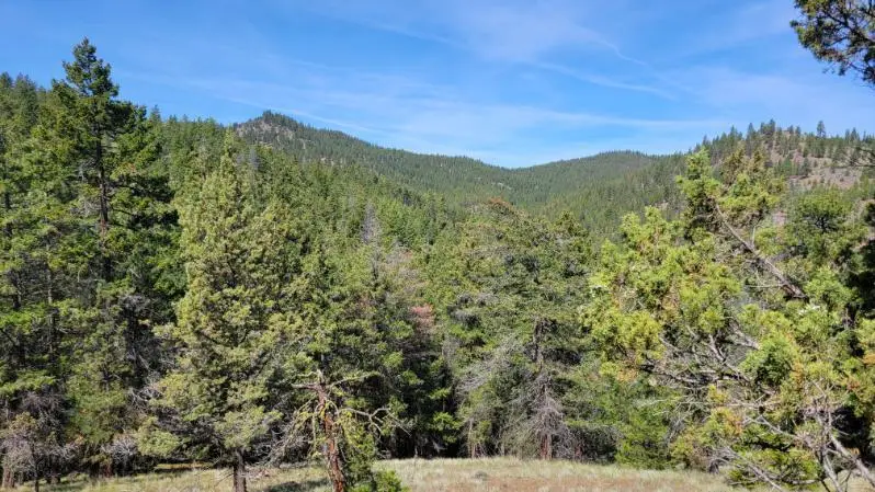 1315 NE Lofton Creek Road, Prineville, OR 97754 - #1