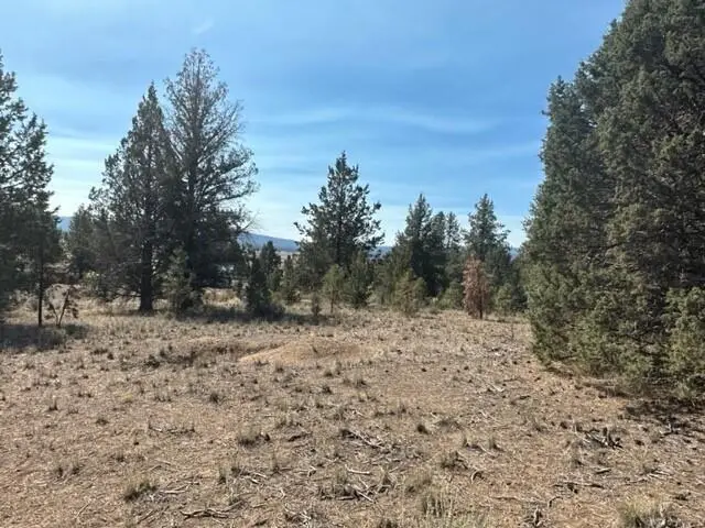 0 Mountain Mahogany Lane #Lot 24, Sprague River, OR 97639 - #3