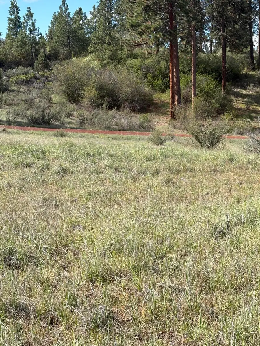 0 Maidu Court #Lot 7, Chiloquin, OR 97624 - #3