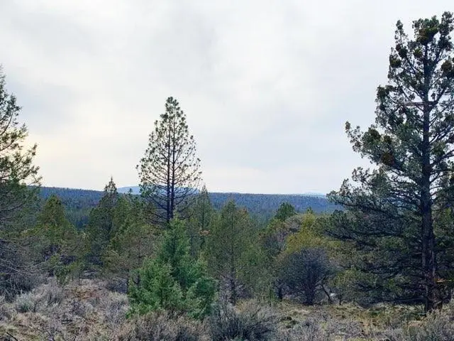 0 Widgeon Drive #Lots 1, 2 & 3, Bonanza, OR 97623 - #1