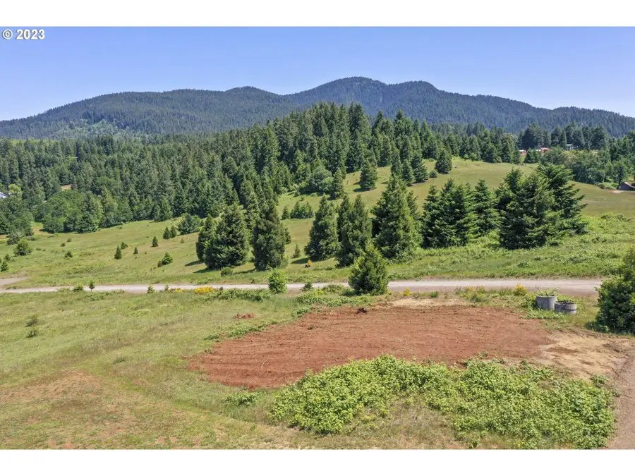 Bugle Loop #TL 1306, Oakridge, OR 97463 - #3