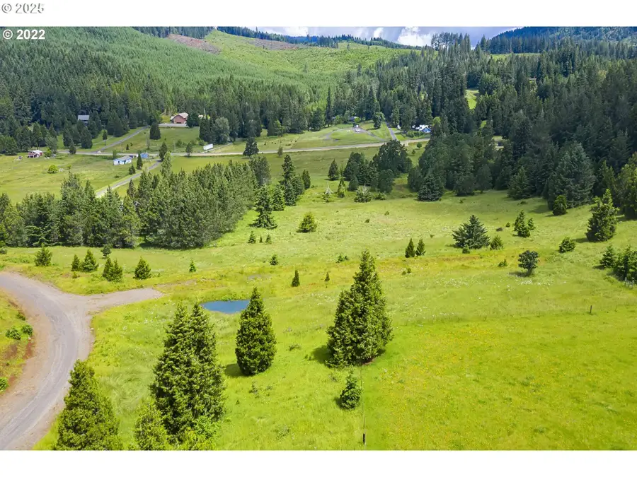 Bugle Loop #TL 1301, Oakridge, OR 97463 - #3