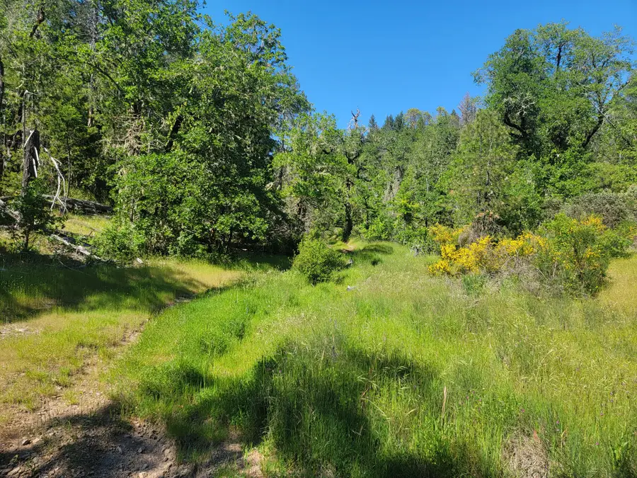 Redwood Highway #TL 210, Selma, OR 97538 - #3