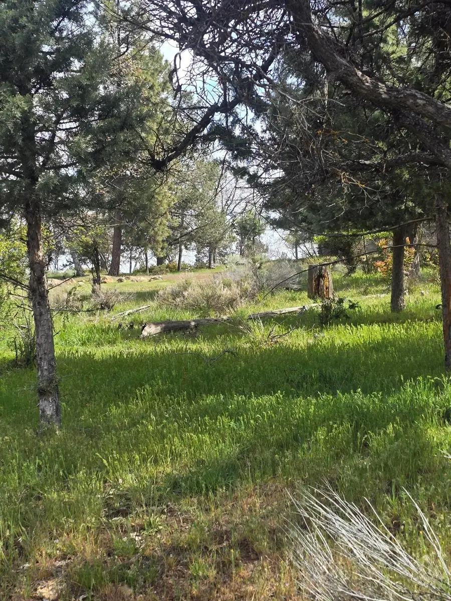 Kestrel Road #12, Klamath Falls, OR 97601 - #3