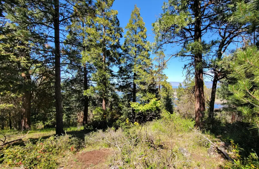 0 Kestrel Road #Lot 174, Klamath Falls, OR 97601 - #3