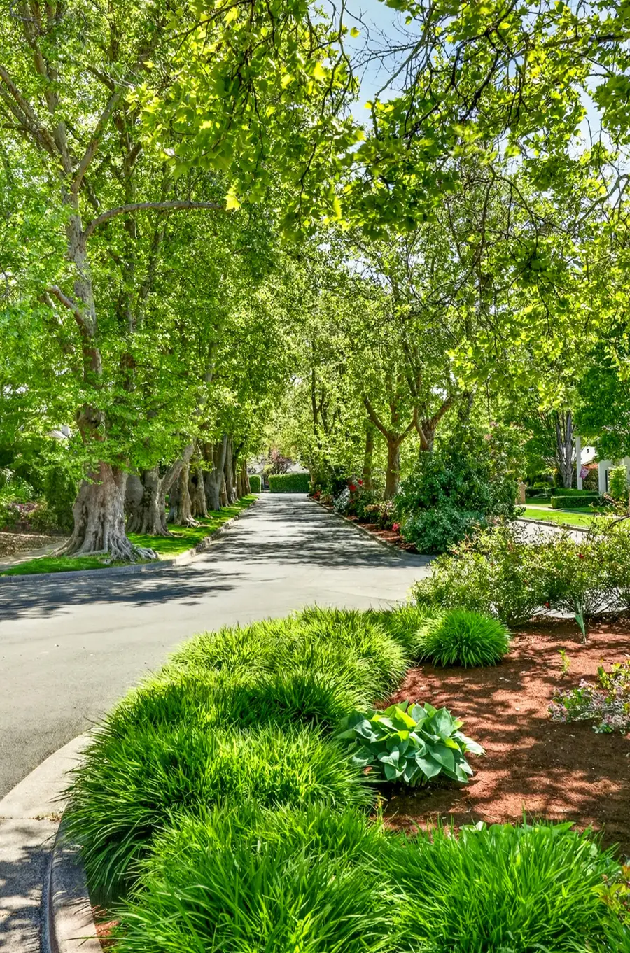 124 Kensington, Medford, OR 97504 - #2