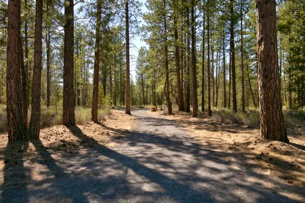 50750 Deer Forest Drive, La Pine, OR 97739