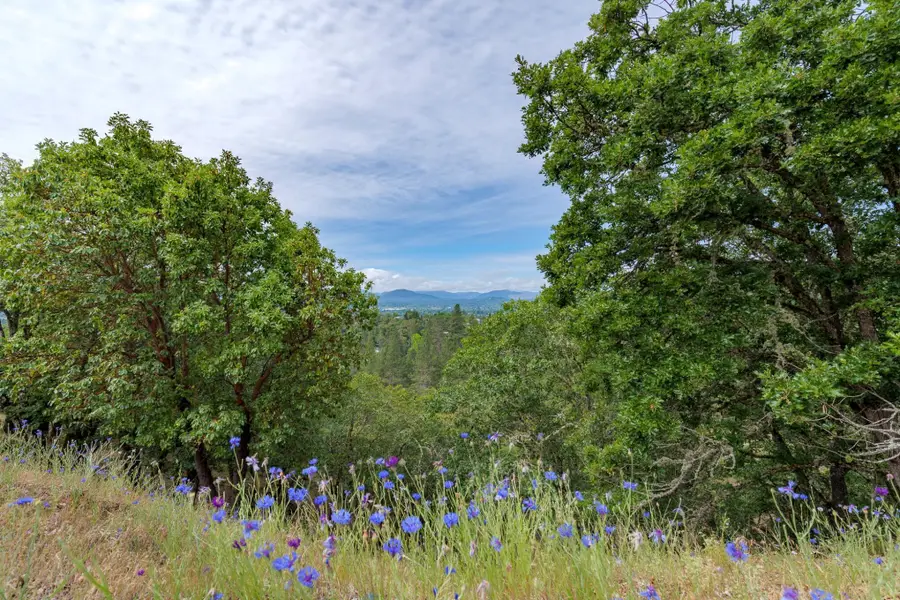 NW Starlite Place, Grants Pass, OR 97526 - #2
