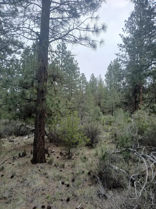 0 Tableland Road, Chiloquin, OR 97624