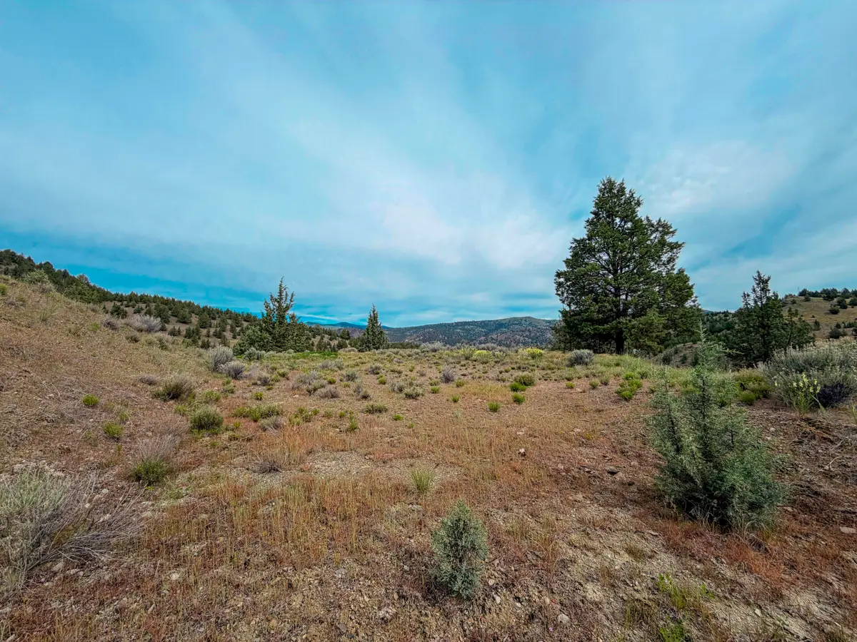 Luce Creek Road, John Day, OR 97845 - #1