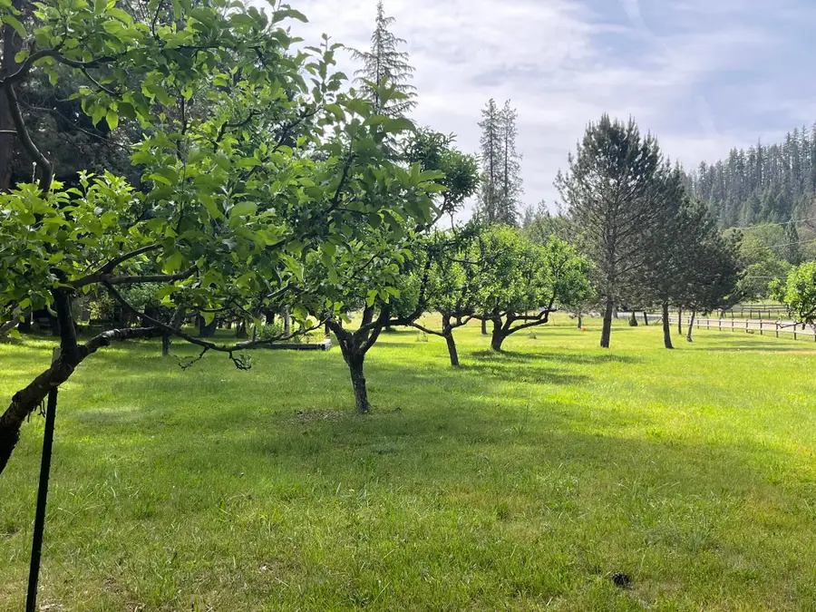 6900 Crowfoot Road, Trail, OR 97541 - #2