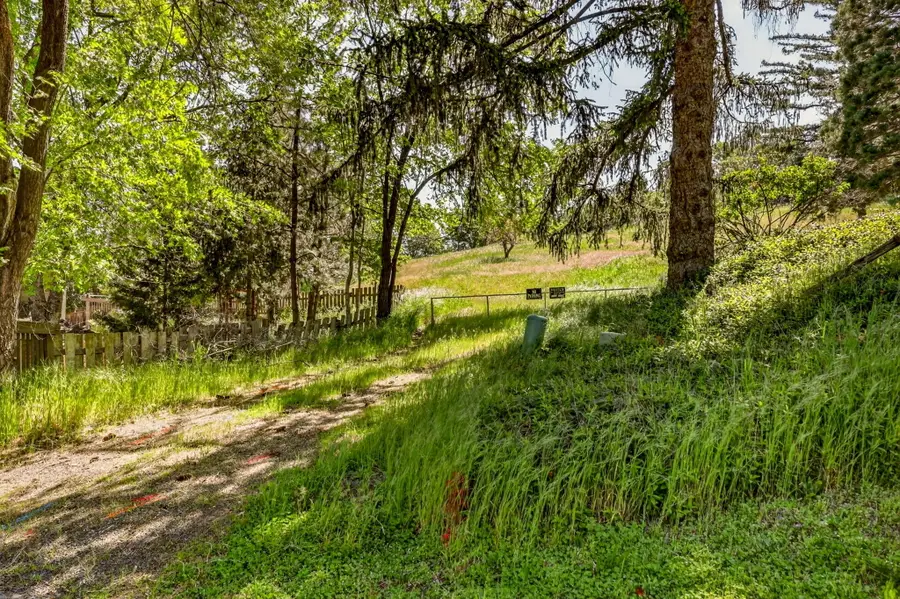 Schofield Street, Ashland, OR 97520 - #2
