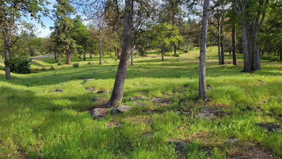 0 Dunlin Lane #Lot 930, Klamath Falls, OR 97601 - #2