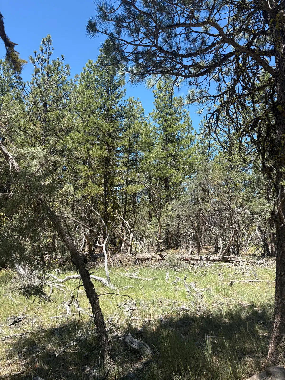0 Chickadee Drive #Lot 10, Bonanza, OR 97623 - #1