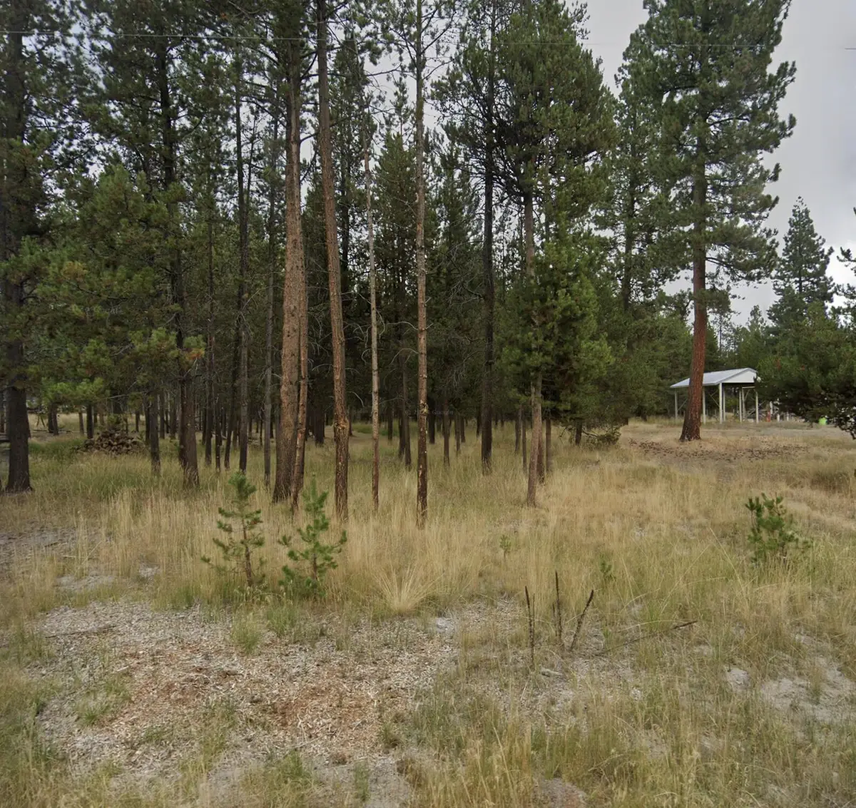 55548 Gross Drive, Bend, OR 97707 - #1