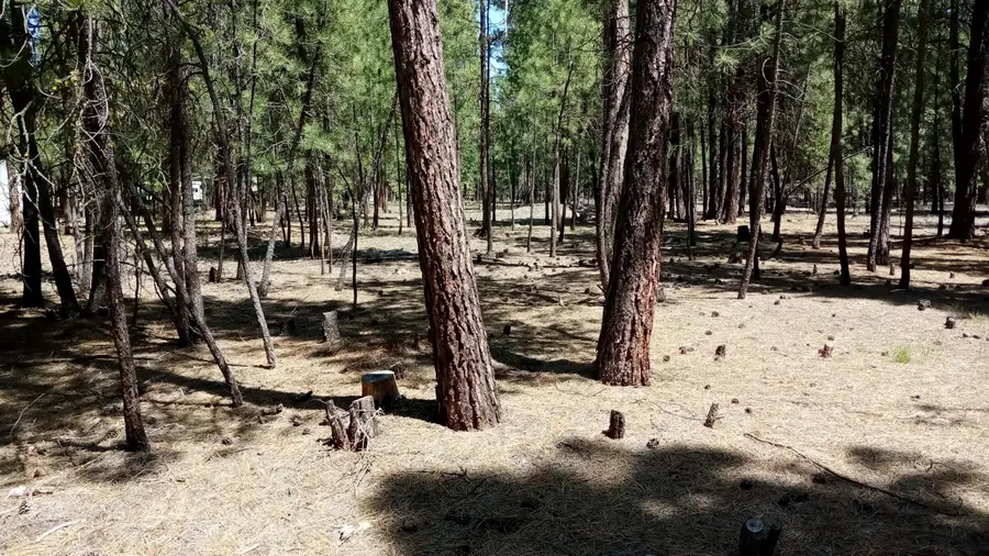 14846 Curlleaf, La Pine, OR 97739 - #2