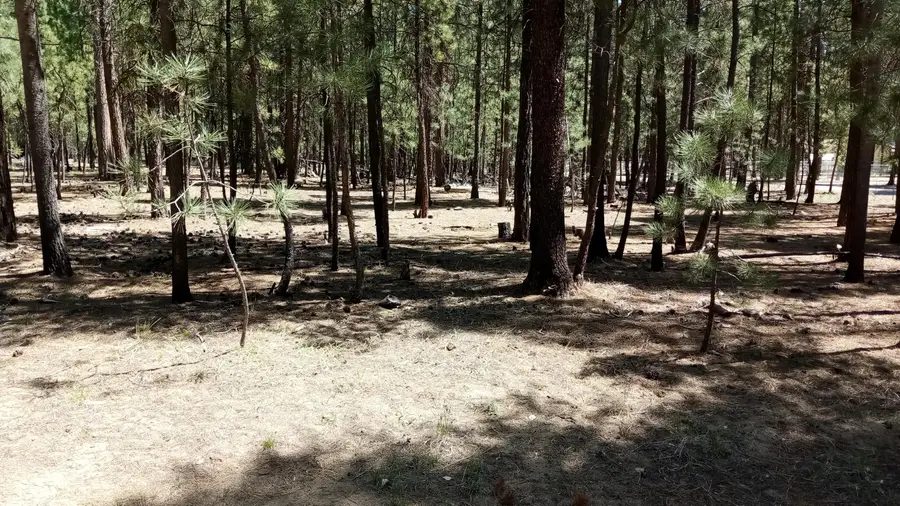 14846 Curlleaf, La Pine, OR 97739 - #3