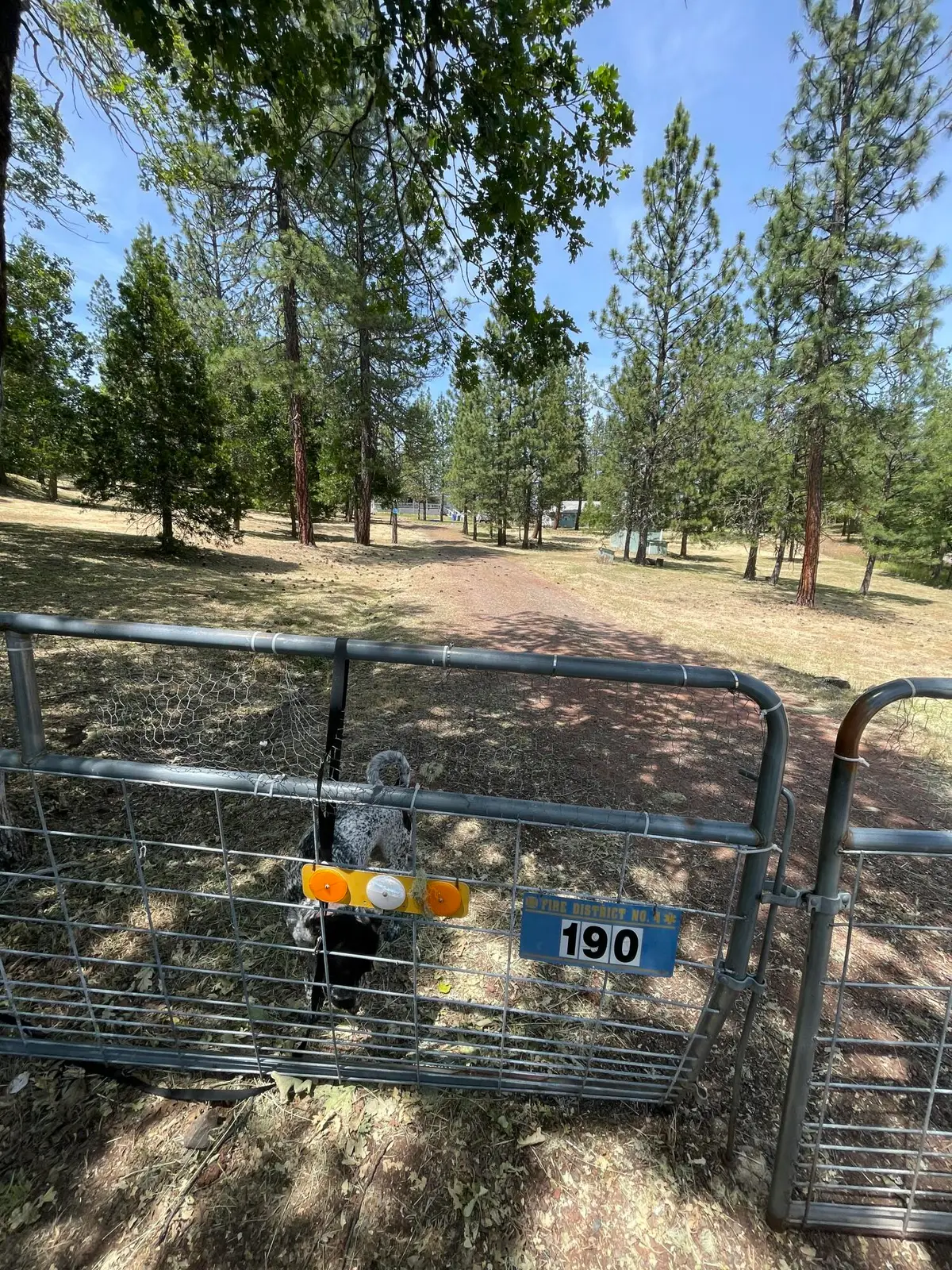 190 Citadel Road, Trail, OR 97541 - #1