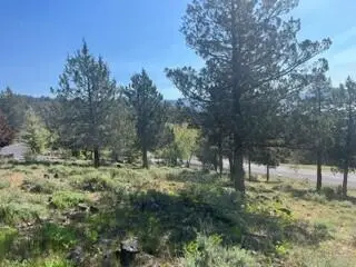 0 Murrelet Road #Lot 1185, Klamath Falls, OR 97601 - #3
