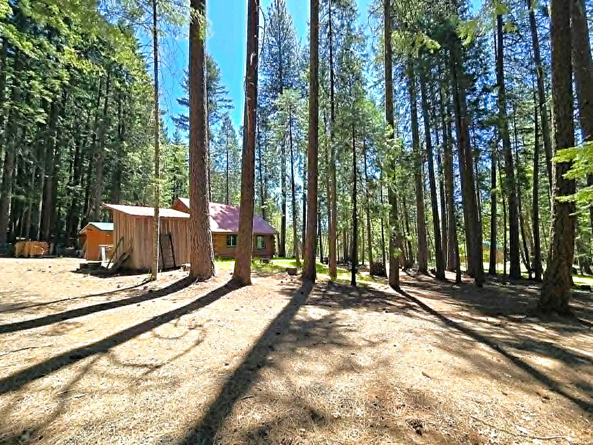836 Ulrich Road, Prospect, OR 97536 - #1