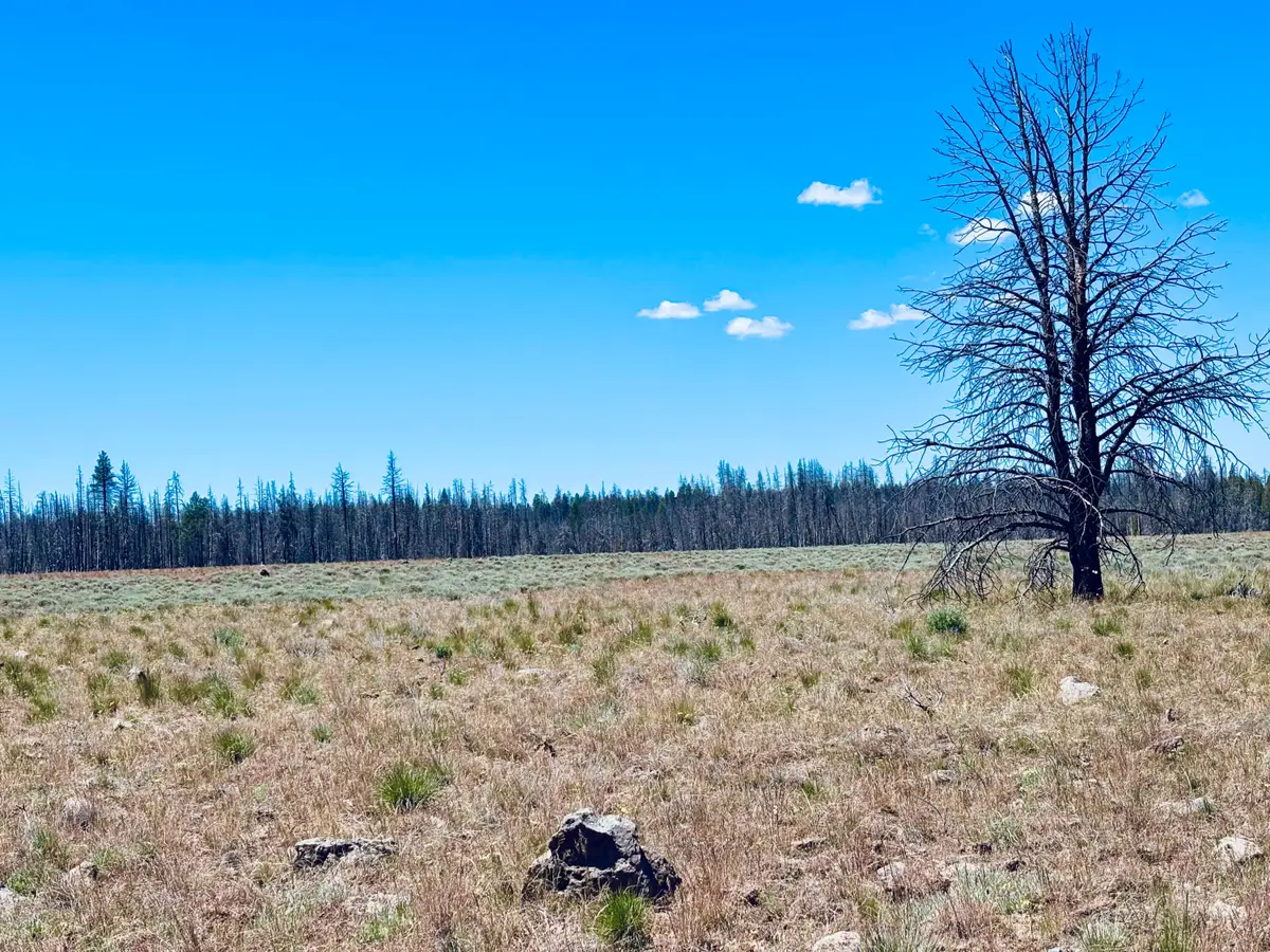 0 White Birch Lane #Lot 4, Bly, OR 97622 - #1