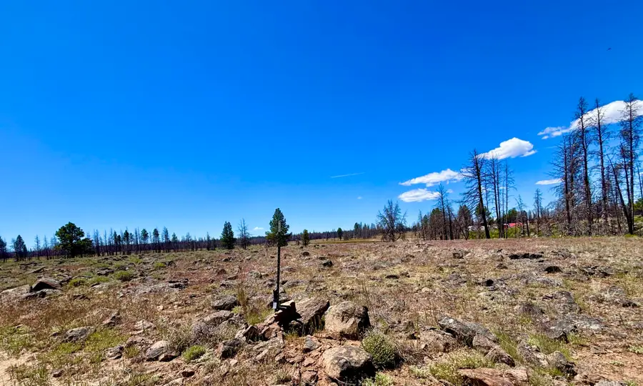 0 White Birch Lane #Lot 4, Bly, OR 97622 - #3