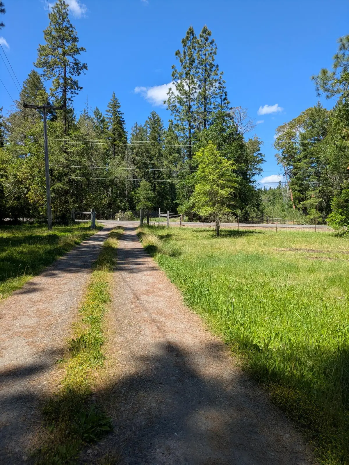 575 Kirkham Road, Cave Junction, OR 97523 - #1