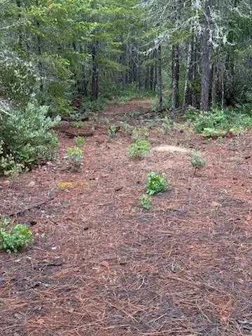 Lone Mountain Road #1300, Obrien, OR 97534 - #3