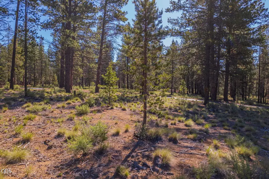 56319 Mirror Rock Loop #337, Bend, OR 97707 - #2