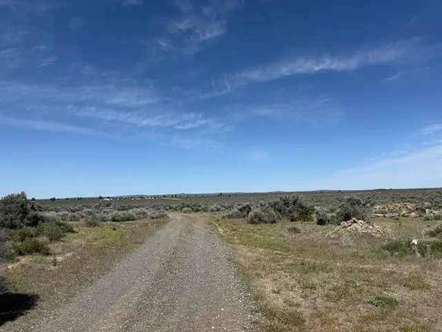 Millican Road #TL-1400, Christmas Valley, OR 97641 - #2