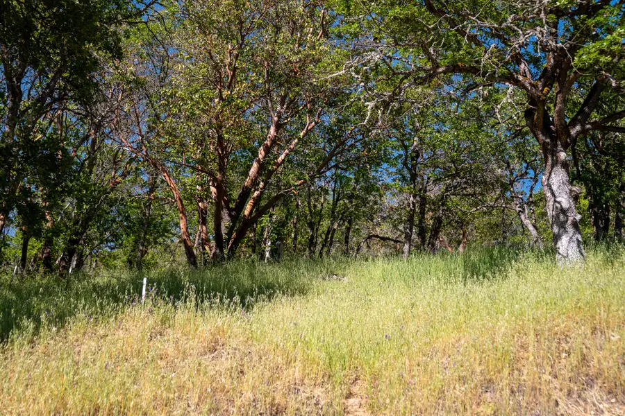 0 Highway 234, Central Point, OR 97502 - #2