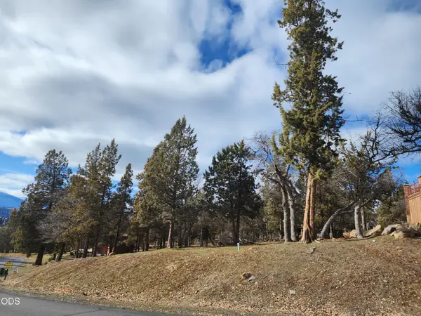 Coopers Hawk #259, Klamath Falls, OR 97601