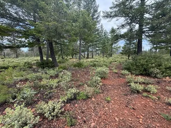 32001 Redwood Highway, Cave Junction, OR 97523