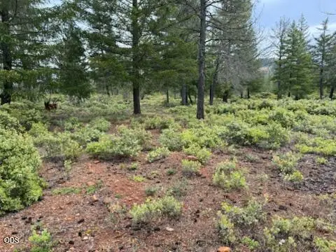 32001 Redwood Highway, Cave Junction, OR 97523 - #3