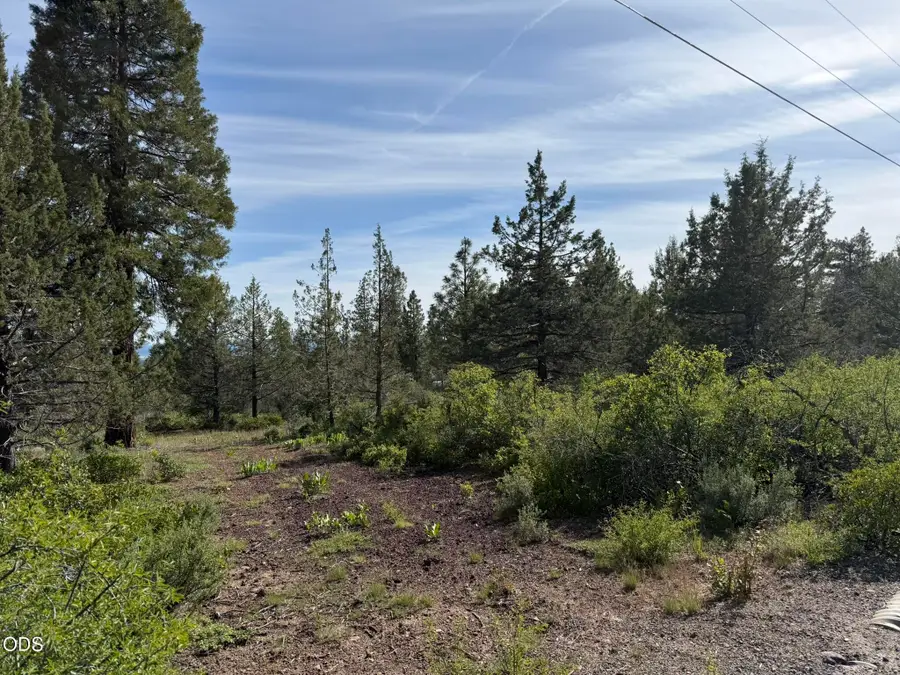 0 Porpoise Lane #Lot 29, Bonanza, OR 97623 - #2