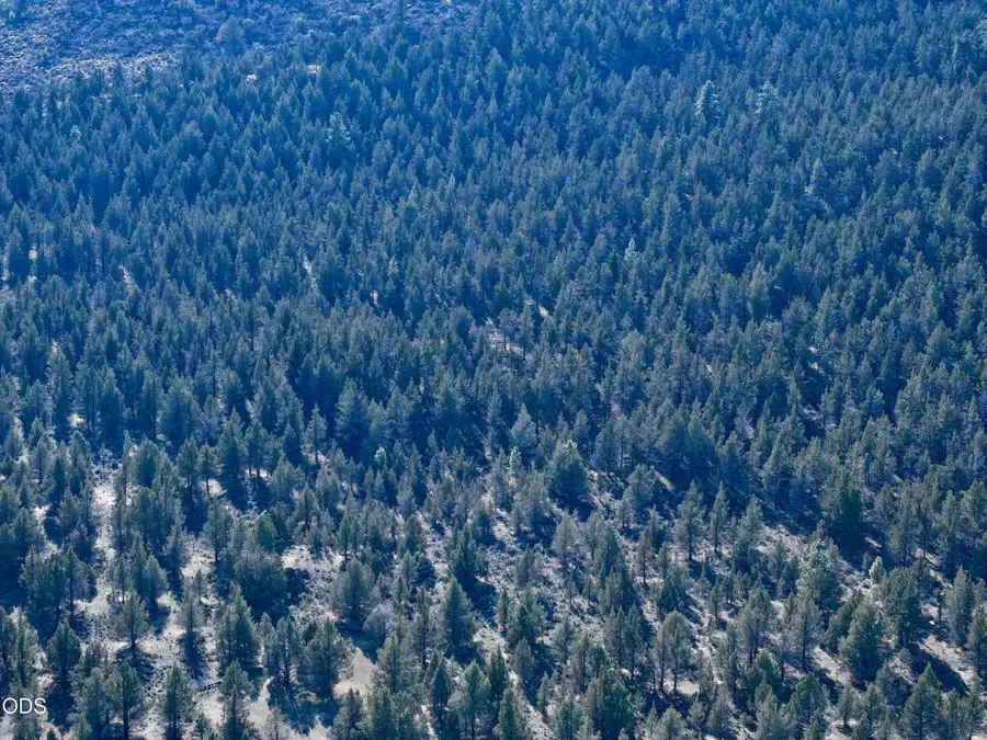 0 Bear Valley Road, Keno, OR 97627 - #3