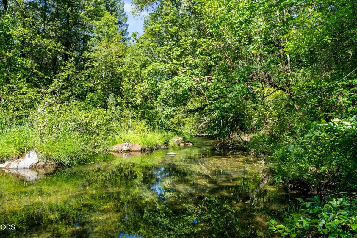 0 Lower Grave Creek Road, Wolf Creek, OR 97497 - #1