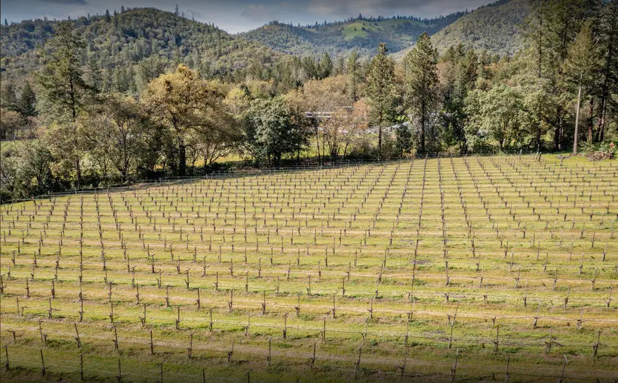 818 Slagle Creek Road, Grants Pass, OR 97527 - #3