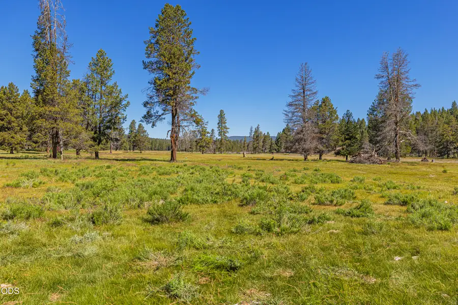 Williamson River Road #206226, Chiloquin, OR 97624 - #3