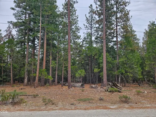 0 Blackbird Drive #Lots 33, 34, 35, Bonanza, OR 97623
