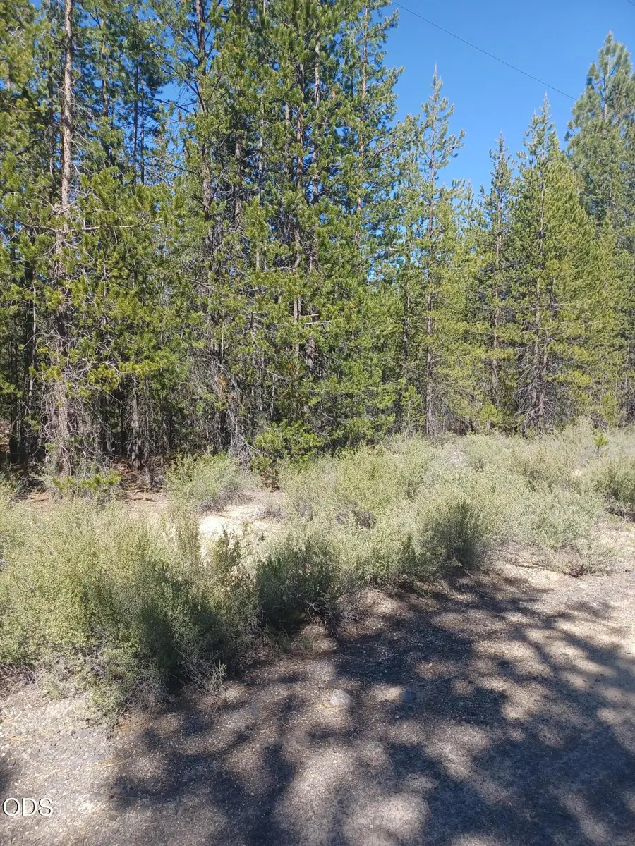 Gabriel Court #54, Crescent, OR 97733 - #3