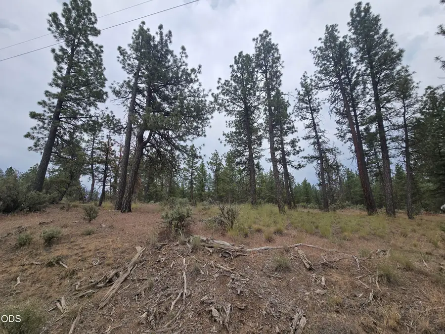 Elde Street #24, Chiloquin, OR 97624 - #2