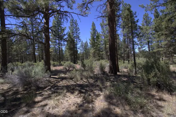 Pow Wow Lane #Lot 15, Sprague River, OR 97639