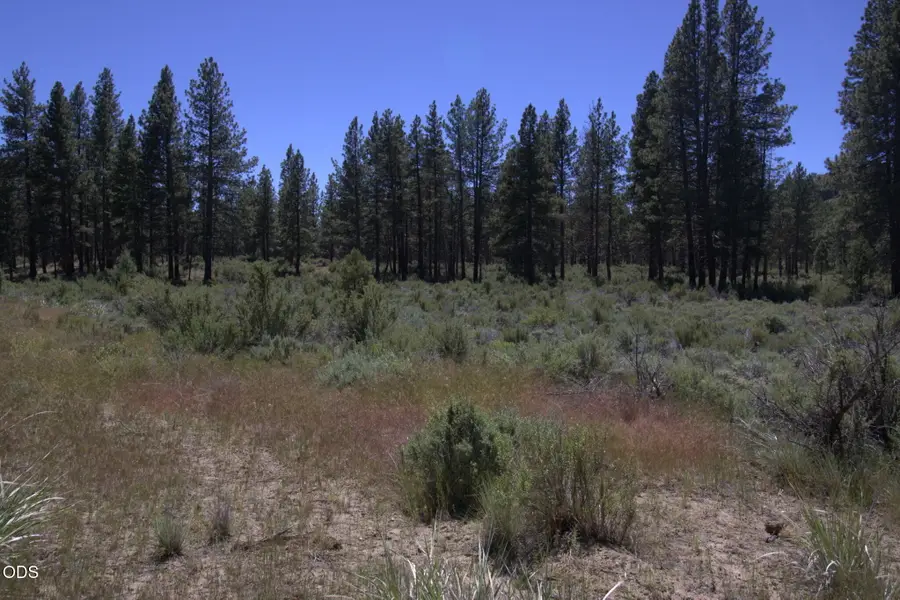 Pow Wow Lane #Lot 15, Sprague River, OR 97639 - #3