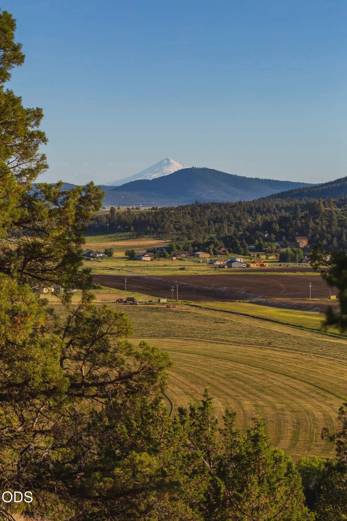 1198 Wheeping Birch Court, Klamath Falls, OR 97601 - #1
