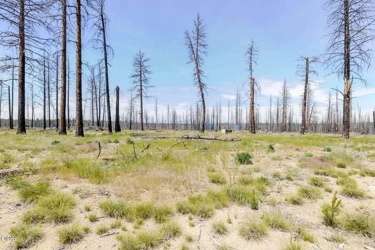 50146 Darlene Way, La Pine, OR 97739 - #1