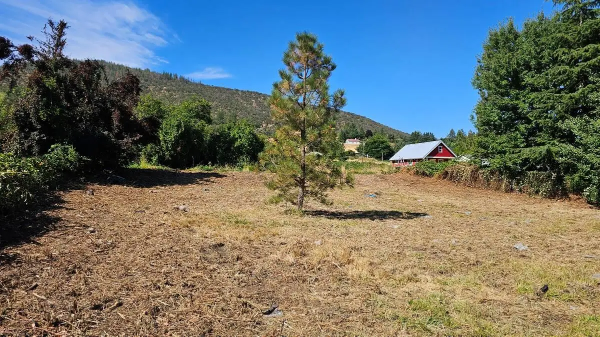 1720 Talent Avenue, Talent, OR 97540 - #1