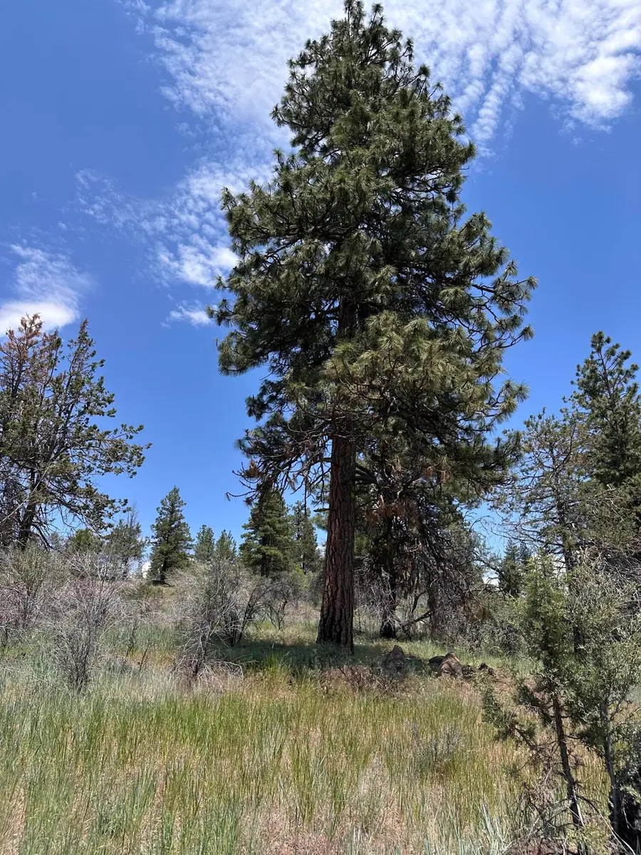 0 Buffalo Ln #Lot 11-12, Bonanza, OR 97623 - #2