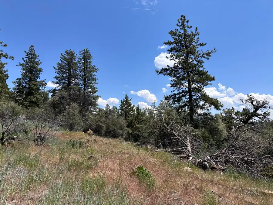 0 Buffalo Ln #Lot 11-12, Bonanza, OR 97623 - #3